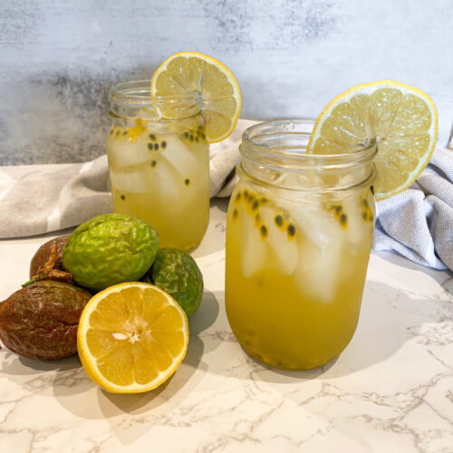 Passion Fruit & Yellow Melon.jpg